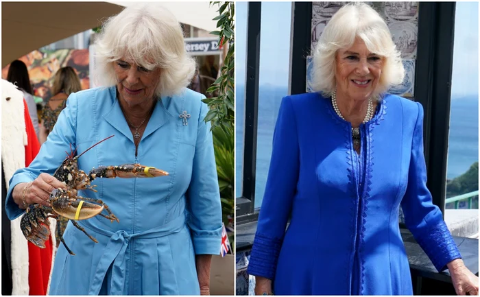 Nu doar c-o prinde bine albastrul pe Camilla, dar e și culoarea ei favorită. FOTO: Casa Regală