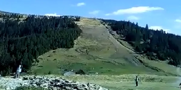 parapanta
