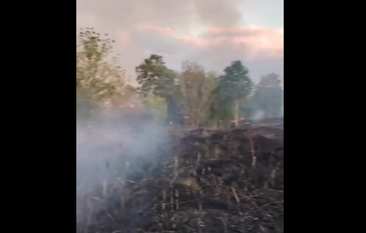 Au ars 15 hectare cu vegetaţie uscată