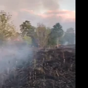 Incendiu vegetatie platforma combinatului Siderurgic Hunedoara  captura Cronica de Hunedoara png