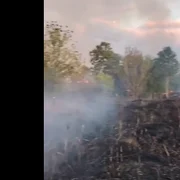 Incendiu vegetatie platforma combinatului Siderurgic Hunedoara  captura Cronica de Hunedoara png