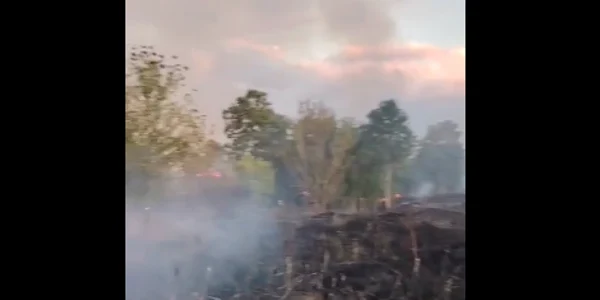 Incendiu vegetatie platforma combinatului Siderurgic Hunedoara  captura Cronica de Hunedoara png