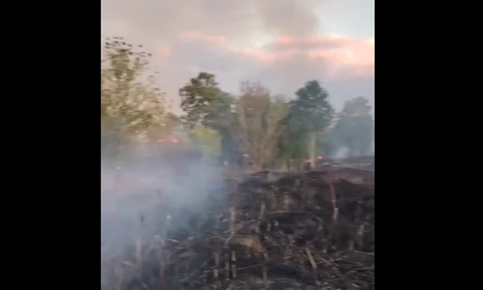 Incendiu vegetatie platforma combinatului Siderurgic Hunedoara  captura Cronica de Hunedoara png