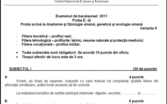 Anatomie