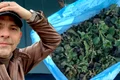 banner dan negru jpg