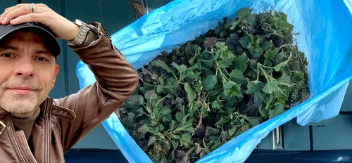 Dan Negru, îngrozit de prețurile la verdețuri. Foto: Facebook 