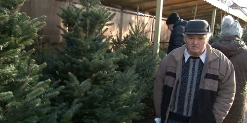 vlcsnap 2022 12 19 18h12m10s425 png