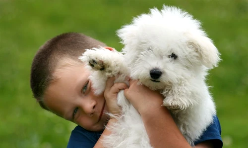 1 58083 original jpg jpeg