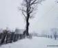 iarna in poiana rachitelii foto daniel guta adevarul