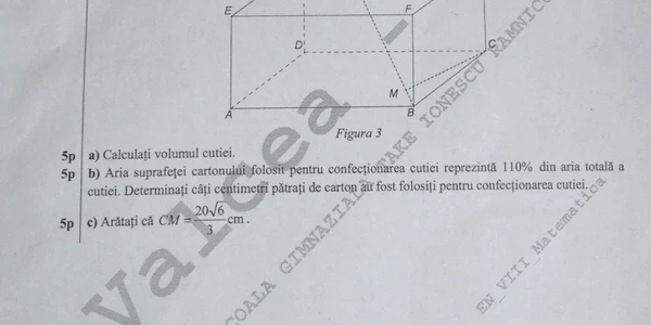 MATE CAPACITATE