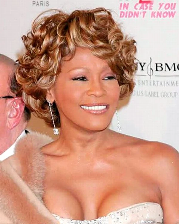 
    Whitney Houston are un fiu secret!  