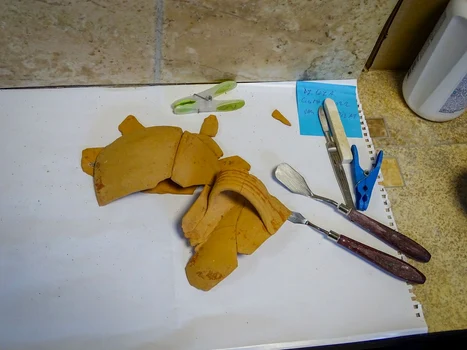 Foto: © Facebook / Muzeul Civilizaţiei Dacice şi Romane Deva