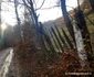 Tinutul Momarlanilor Foto Daniel Guță ADEVĂRUL (4) jpg