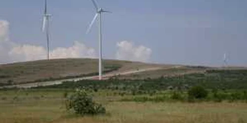 Eoliene în judeţul Tulcea