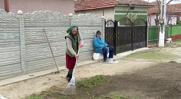Doamna Ceauș muncește continuu și după pensionare. FOTO I. Bunilă