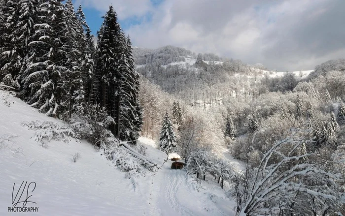 curmatura jietului foto vasile laurentiu sorin