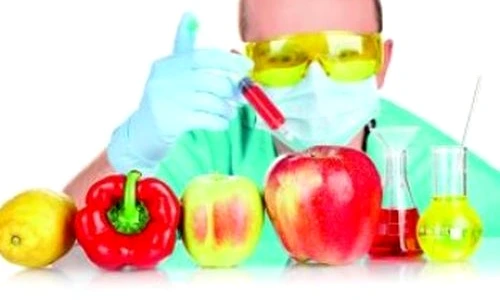 1 63381 original jpg jpeg