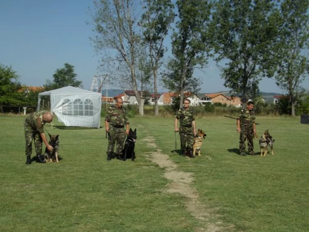 Poliţia de Frontieră organizează concurs pentru ocuparea mai multor posturi