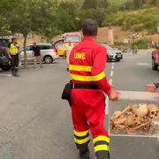 oseminte regi spania jpg