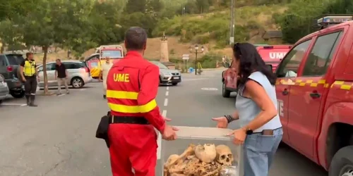 oseminte regi spania jpg