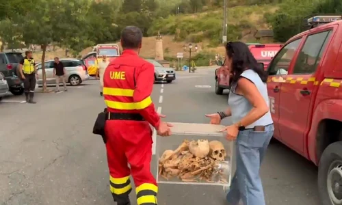 oseminte regi spania jpg