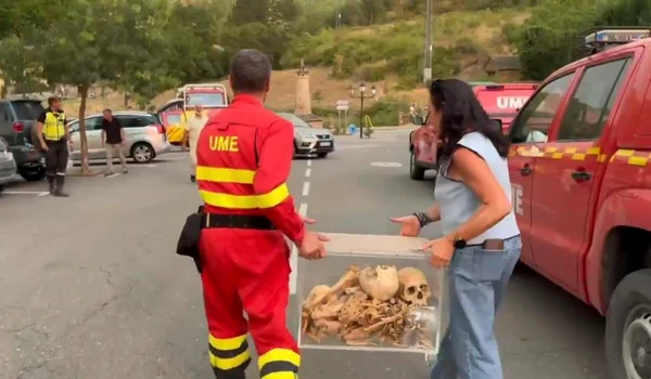 oseminte regi spania jpg