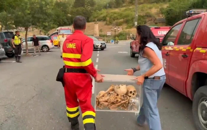 Oseminte evacuate în Spania