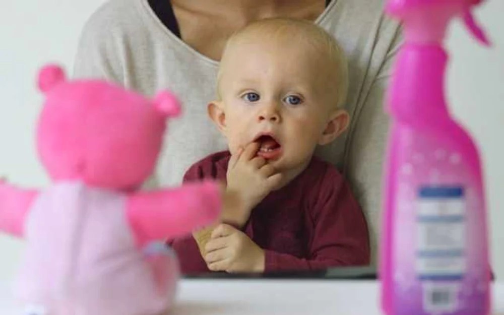 Bonele, menajerele sau grădinarii refuză să se angajeze cu carte de muncă