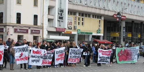Miting împotriva eutanasierii câinilor din Timişoara FOTO Ştefan Both