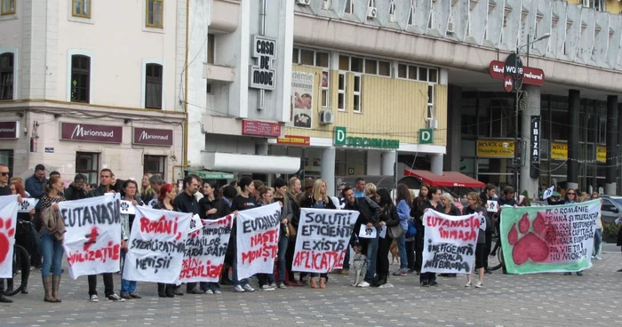 Timişorenii au ieşit în Piaţa Victoriei pentru a protesta împotriva eutanasierii în masă câinilor comunitari FOTO Ştefan Both