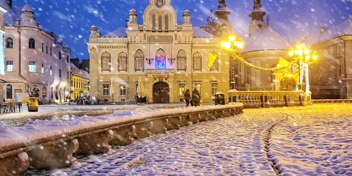 Prima ninsoare din 2014 la Timișoara FOTO Răzvan Vitionescu