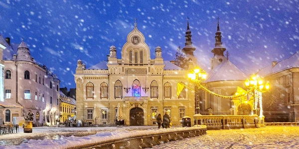 Prima ninsoare din 2014 la Timișoara FOTO Răzvan Vitionescu