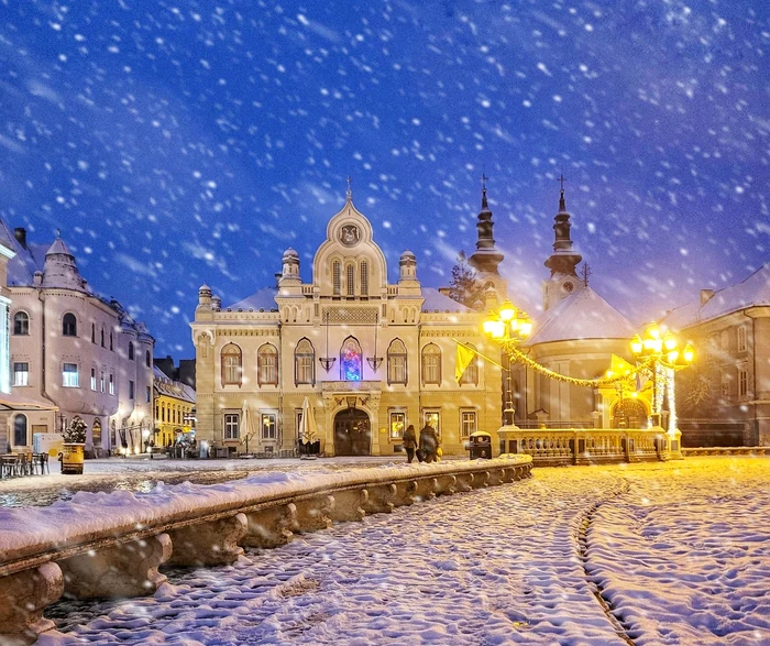 Prima ninsoare din 2014 la Timișoara FOTO Răzvan Vitionescu
