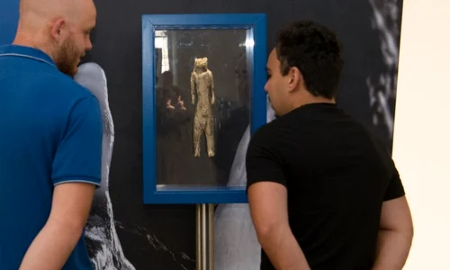 „Omul-Leu”, cea mai mare figurină descoperită din perioada Epocii de Gheață (foto:  Muzeul Național al Banatului)