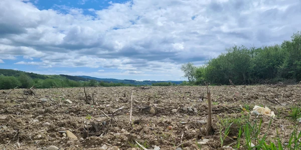 dezastru ecologic in lunca crisului foto laura gal 22 jpg