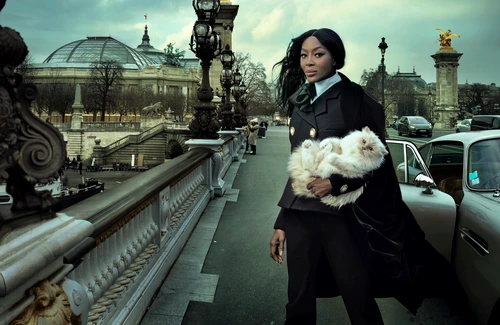 pisica lui Karl Lagerfeld  foto   Instagram jpg