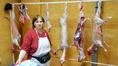 miel pasti piata