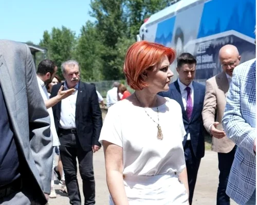 olguta FB Lia Olguta Vasilescu png