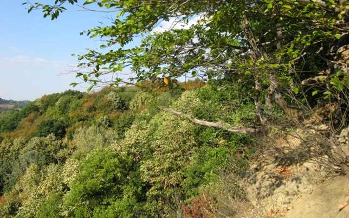 Vedere de la Râpa Diavolului FOTO România mama