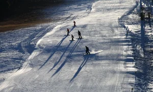 CLIIMA20111203 0042 1 jpeg