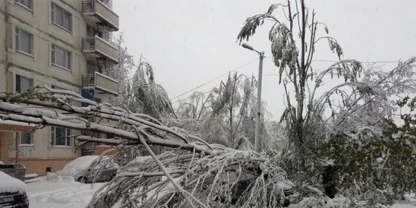 ninsori chisinau foto victor ciobanu via facebook