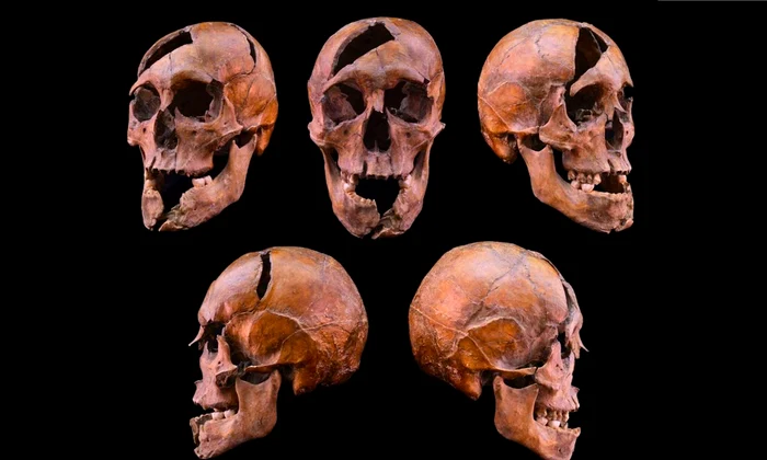Craniul lui Béla, ducele de Macsó (© Eötvös Loránd University)