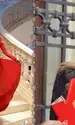cub sonia trifan animat gif
