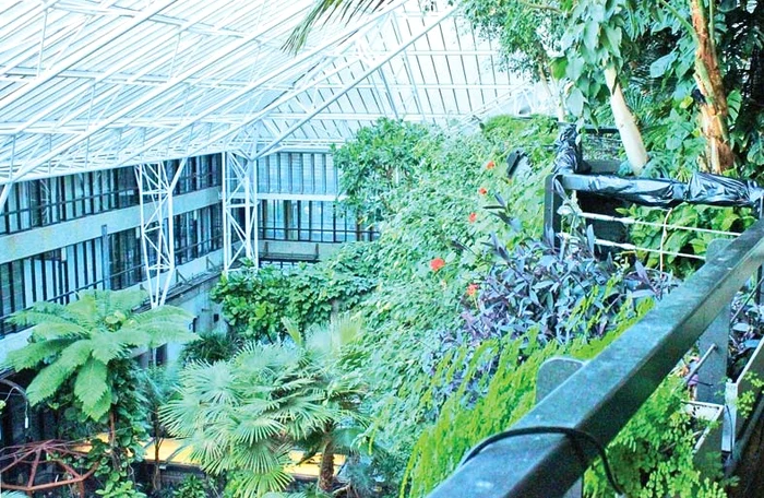 Iubitorii de artă se reculeg printre plante