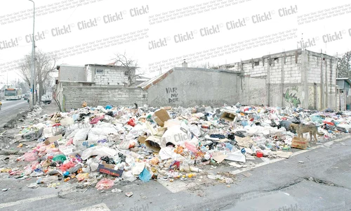 CLIIMA20121227 0177 1 jpeg