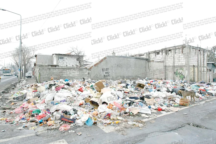 Strada Cîrlibaba- Locatarii care nu au contract cu Romprest pentru ridicarea deşeurilor au transformat acest colţ de stradă în groapă de gunoi. În preajma ei nici nu se poate respira