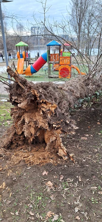 În imediata apropiere se afla locul de joacă pentru copii FOTO Facebook
