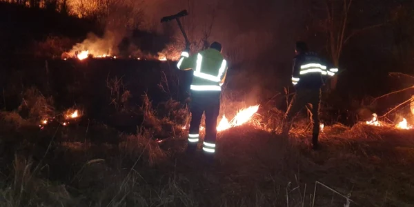 incendiu vegetat aninoasa