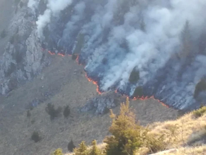 incendiu rezervatia scarita belioara