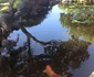 11889576 10200923126717101 472748458815122379 n jpeg